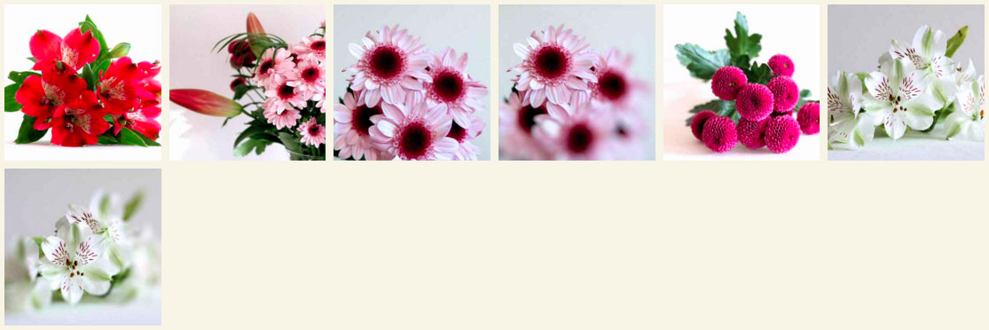 bloemenBlok3.jpg
